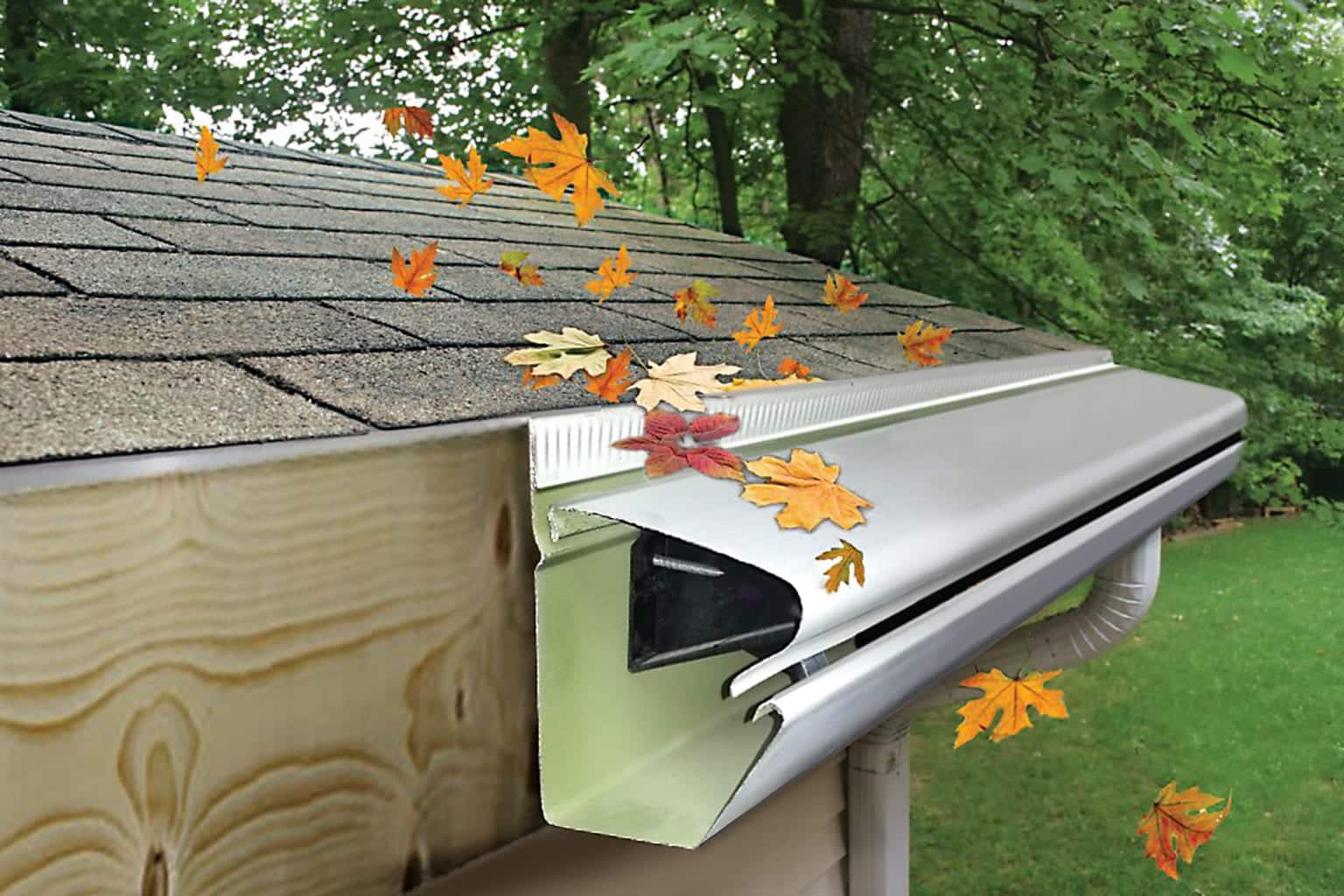 raindrop gutter guard maple seeds