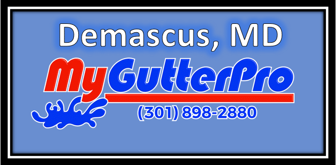 gutter cleaning in demascus md