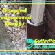 Clogged Underground Drains