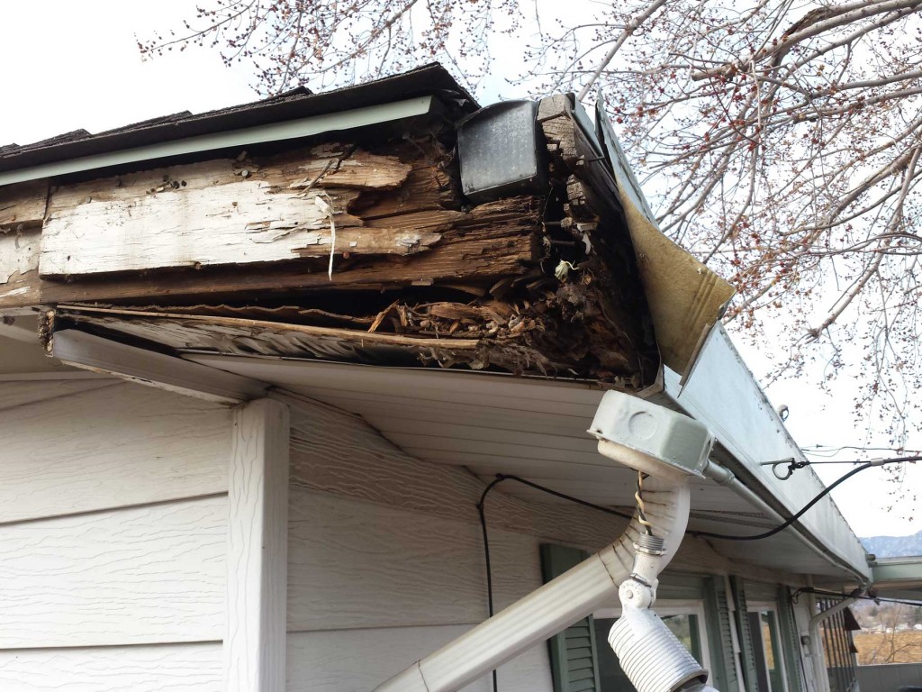 wood damage from gutters