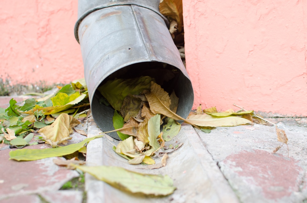 Downspout clog - causes & solutions
