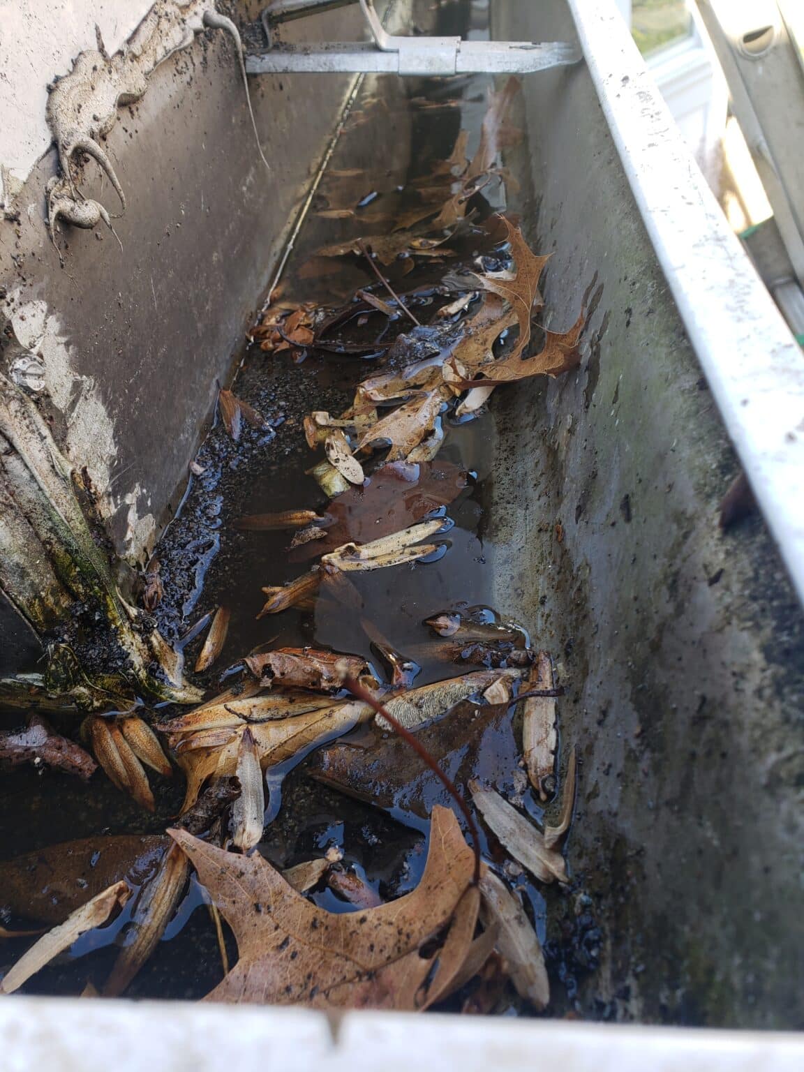 Gutter Miter Leaks Why Do Gutter Corners Leak?